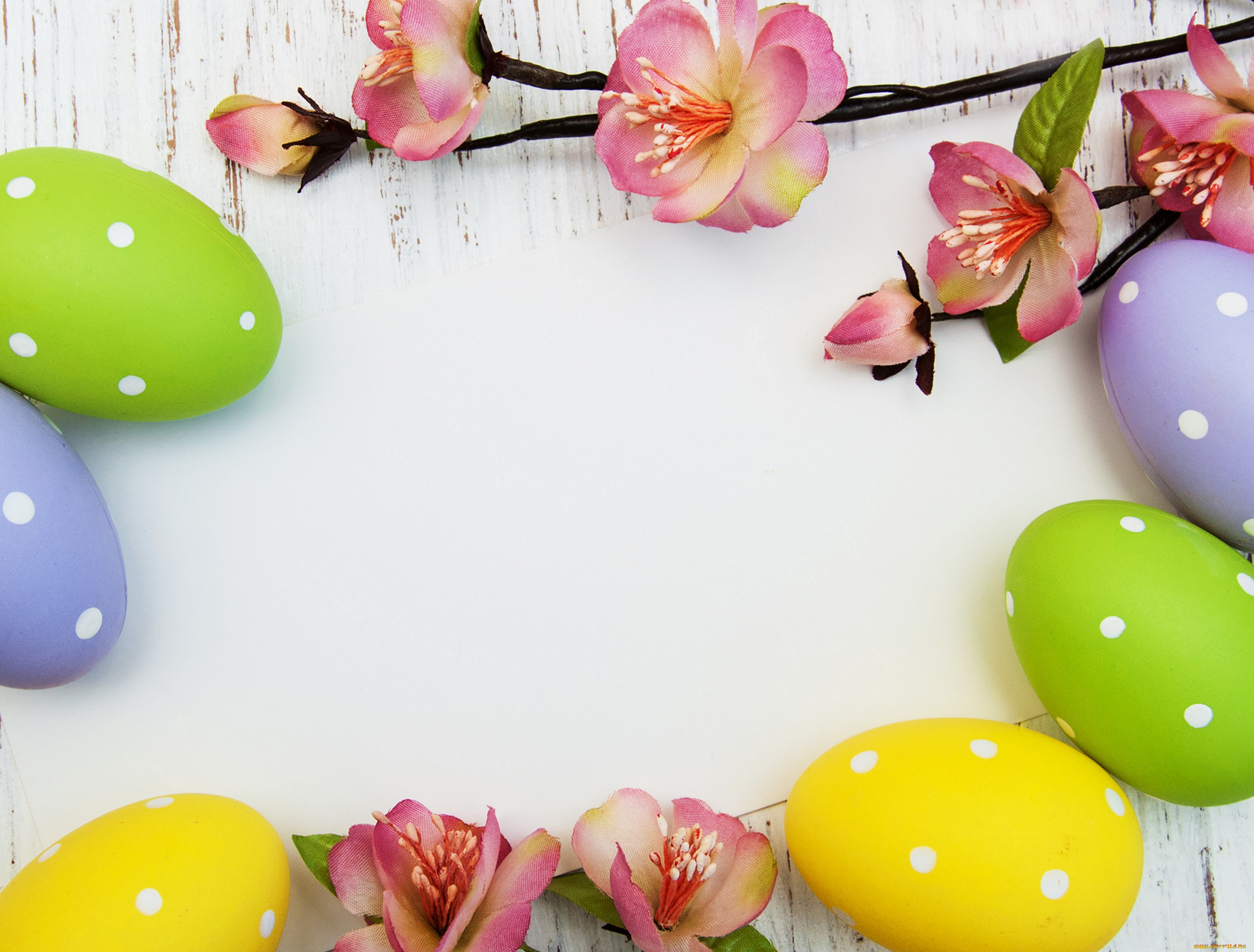 , , , , flowers, card, eggs, easter, spring